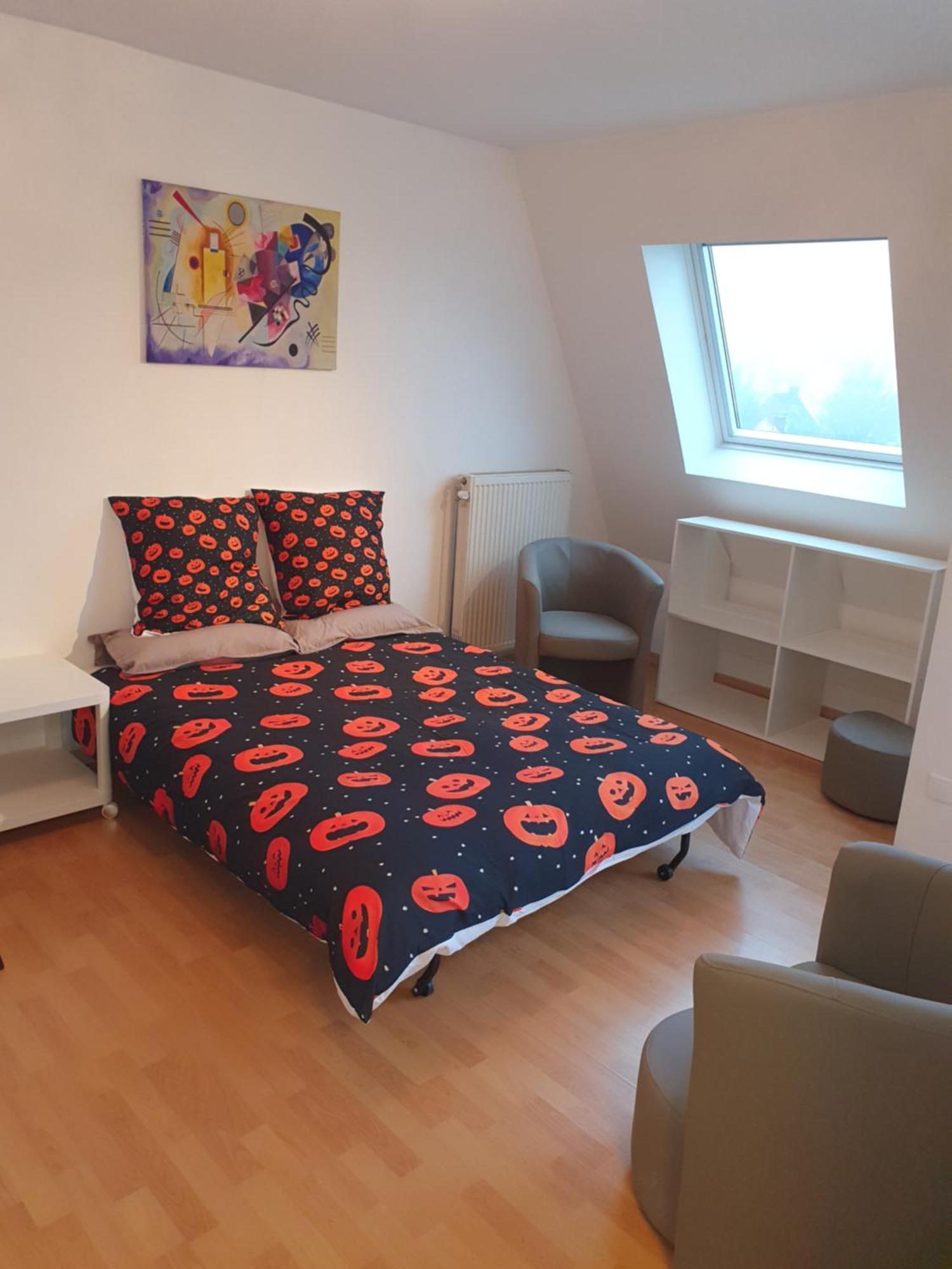 Zenith Sky - Strasbourg *
